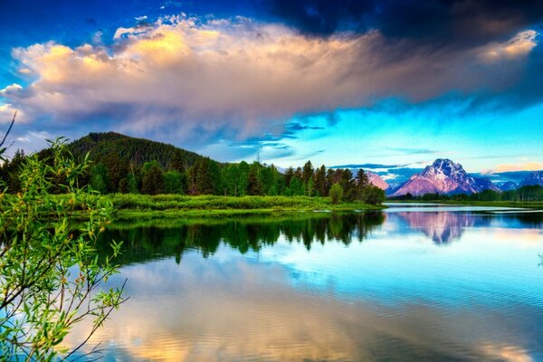 Beautiful spring landscapes