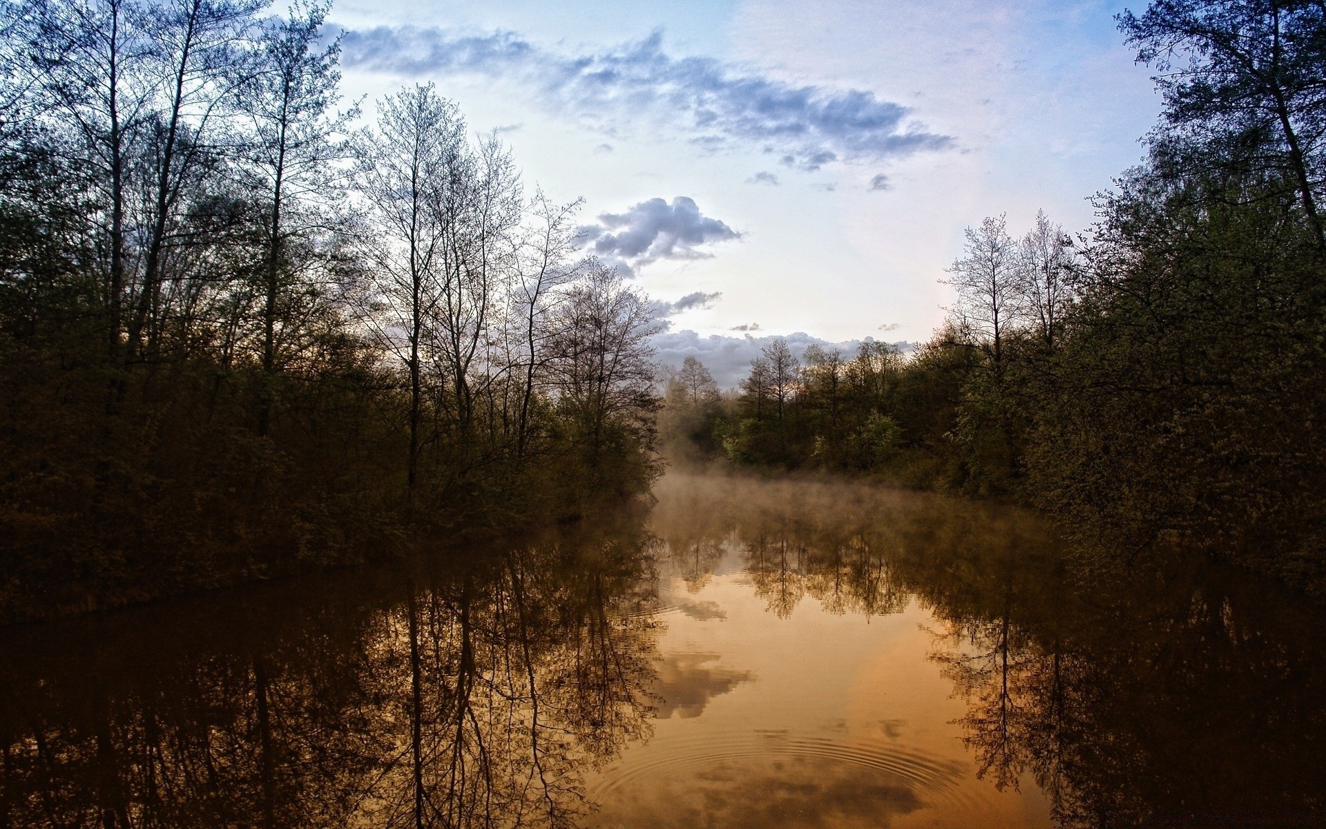 rivers ponds and streams landscape tree nature fog wood dawn fall mist lake outdoors park reflection light sky environment water weather