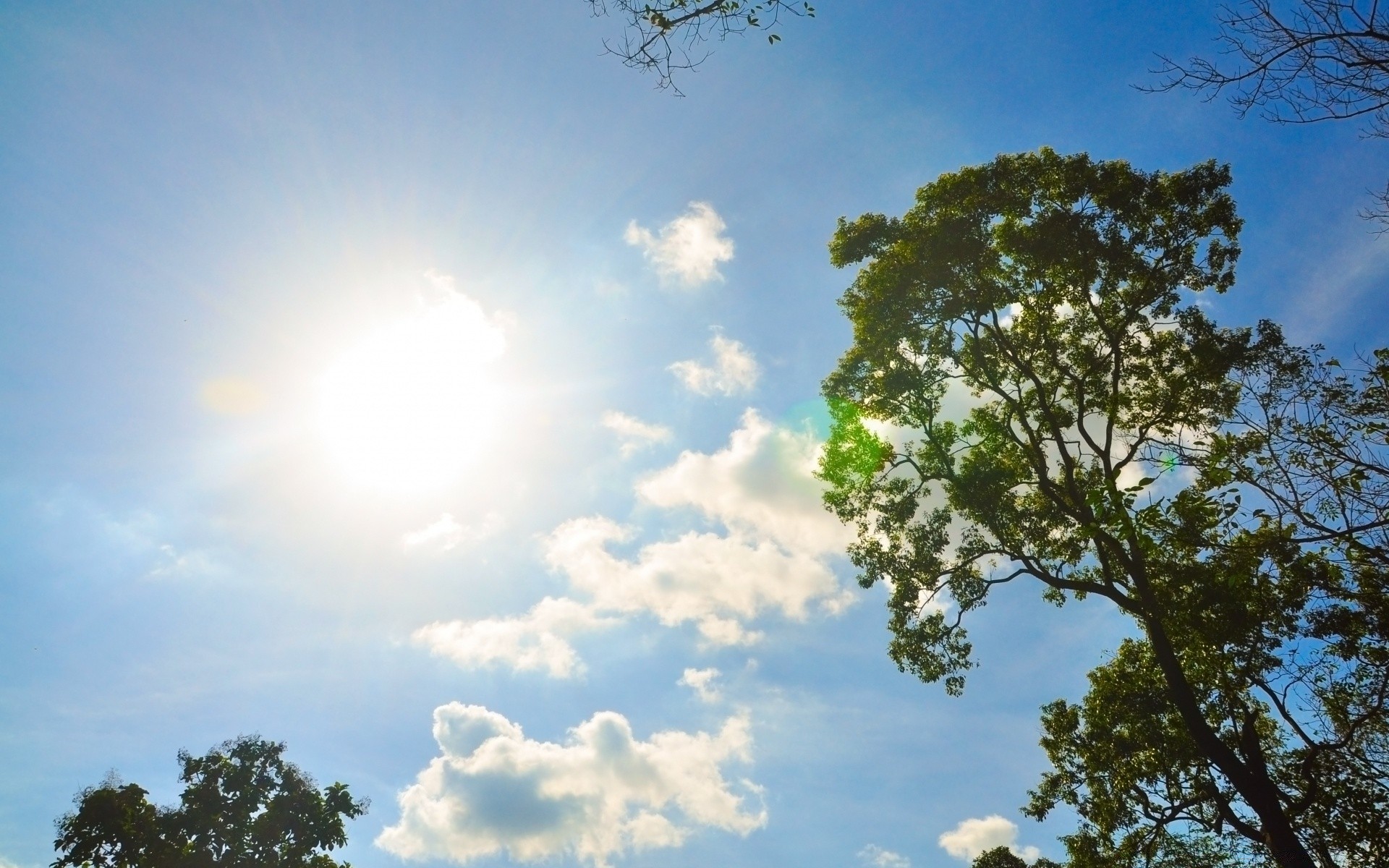 the sky nature sky landscape sun fair weather tree summer weather outdoors environment bright light cloud season daylight color sight leaf heaven