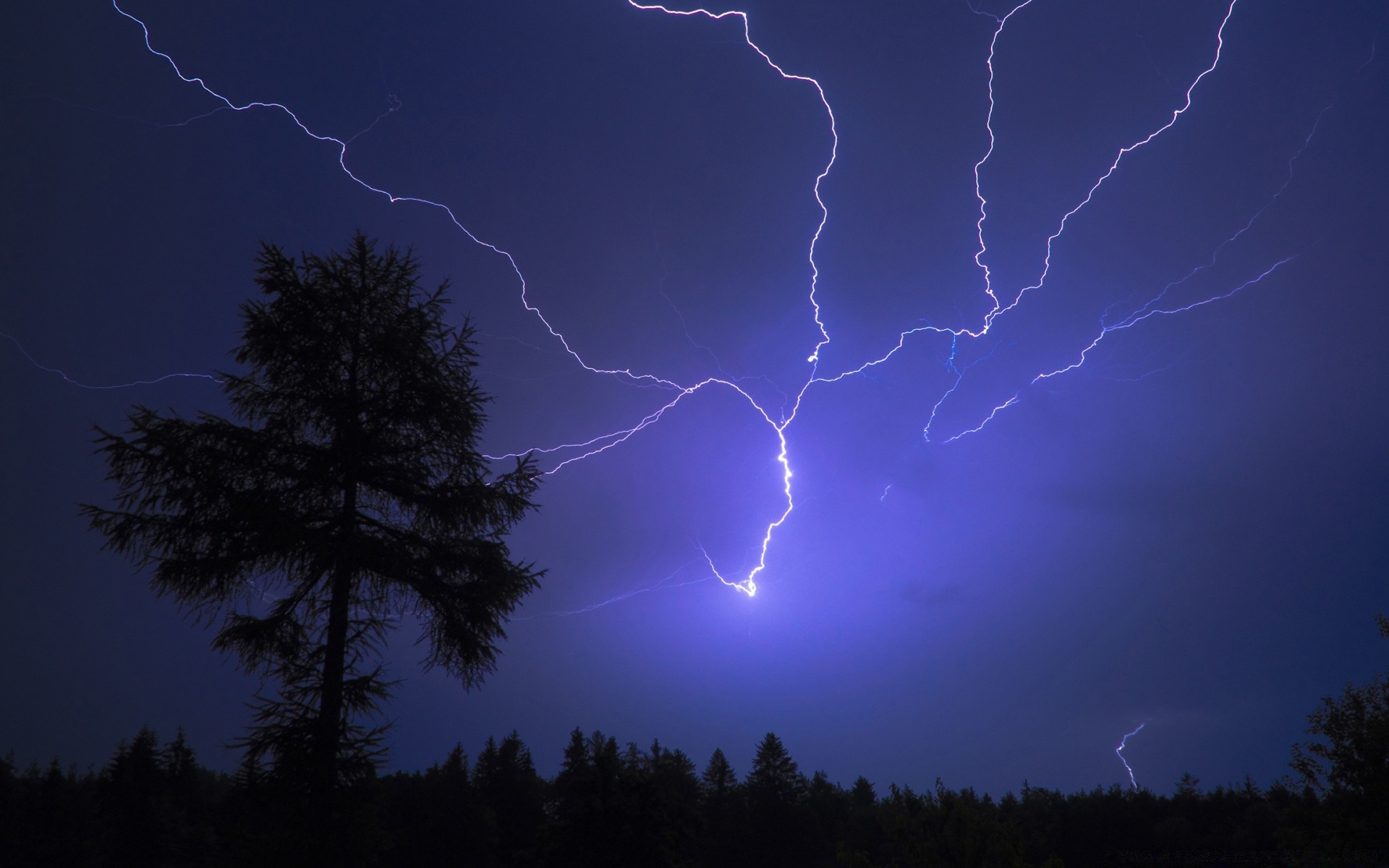 the sky lightning thunder storm thunderstorm silhouette sky evening dark thunderbolt sunset tree rain weather light flash calamity outdoors nature dawn