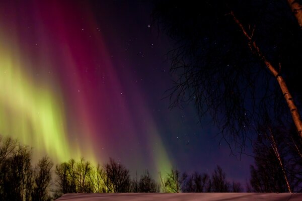 Northern Lights in the night sky