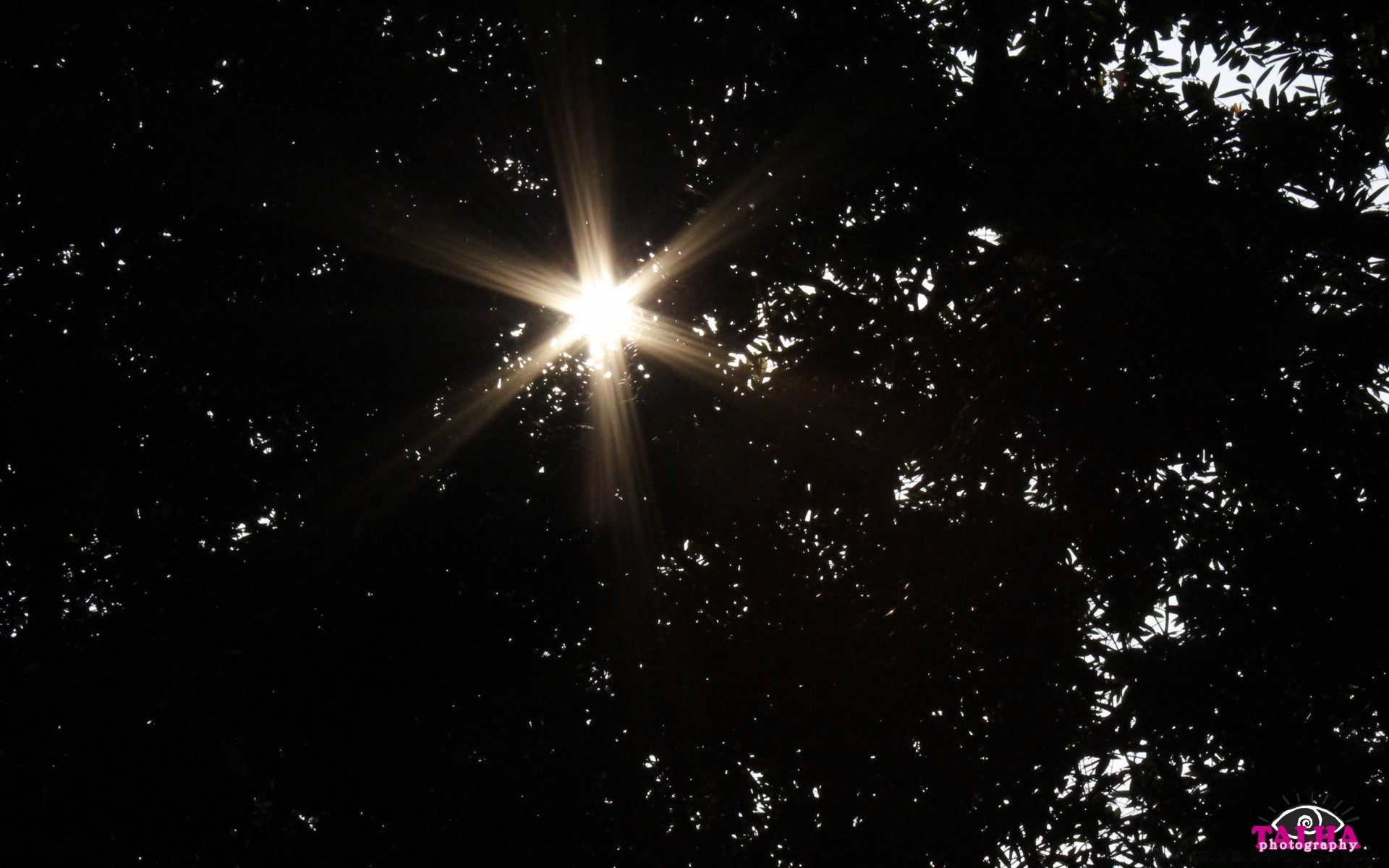 the sky astronomy dark bright shining christmas space sparkling moon illuminated glisten sun graphic design