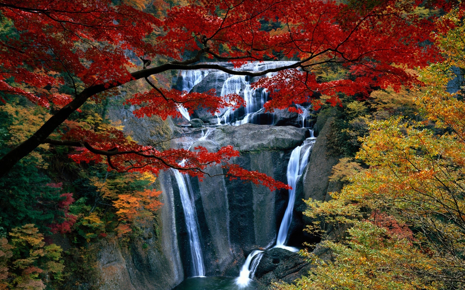 waterfalls fall leaf wood maple tree landscape nature outdoors park scenic stream season river water lush environment scenery