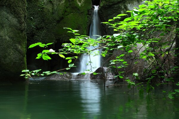 A small waterfall near a forest lake