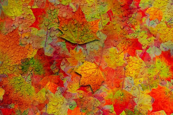 Painted surface with autumn leaves in drops of water