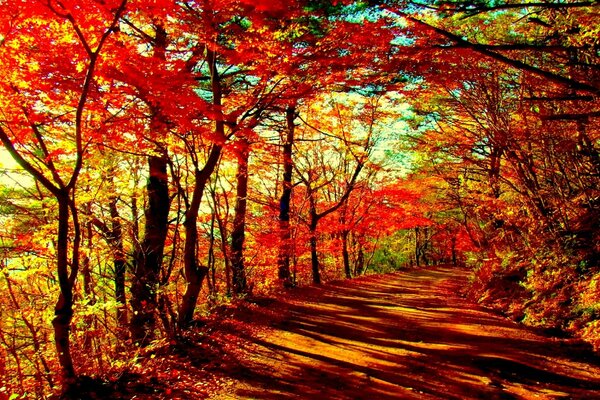 Autumn corner of the outgoing time