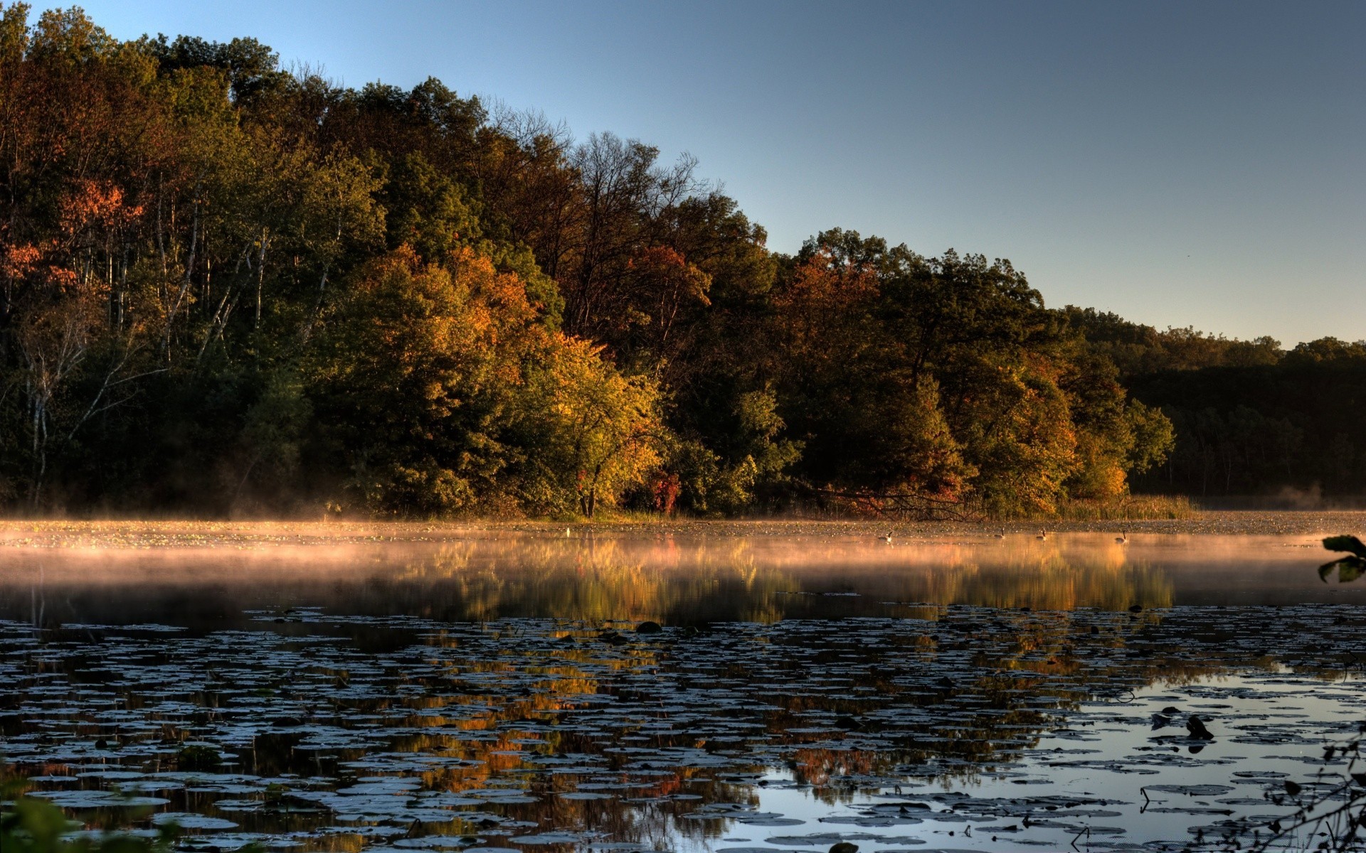 autumn water landscape tree fall nature dawn lake sunset river outdoors reflection wood sky evening