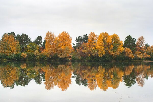 Autumn forest landscape on the lake shore