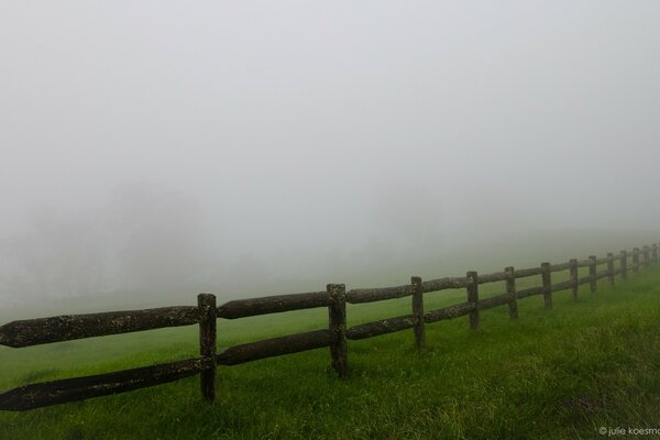 Wooden fence with green grass in the fog