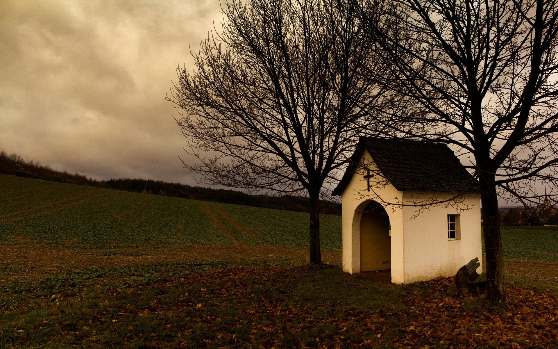 autumn tree landscape barn fall house light wood outdoors