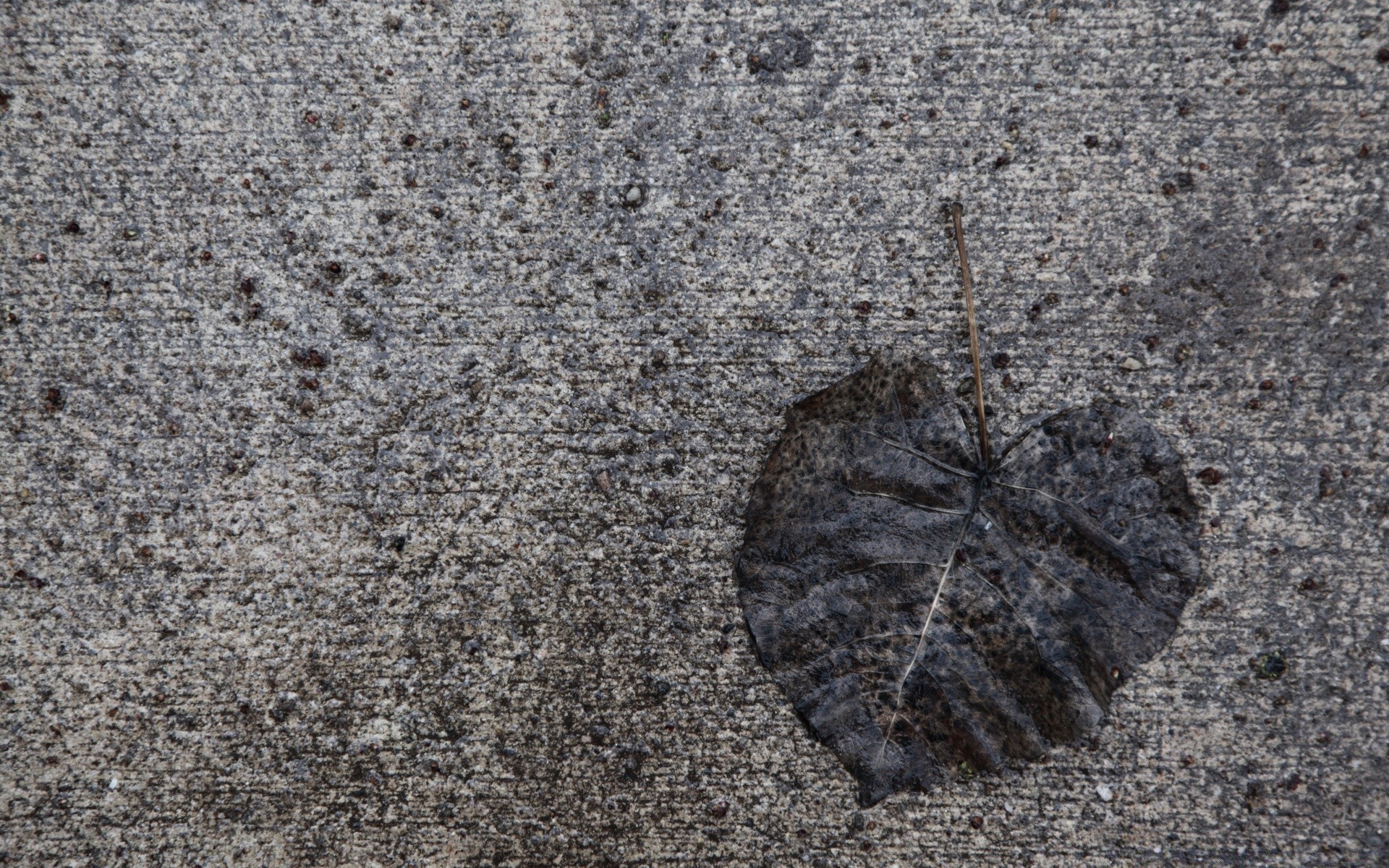 autumn desktop texture abstract pattern nature sand stone surface old close-up ground rough dirty rock