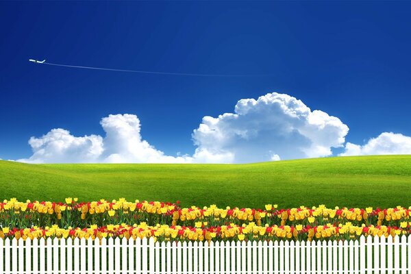 Rural summer spring landscape
