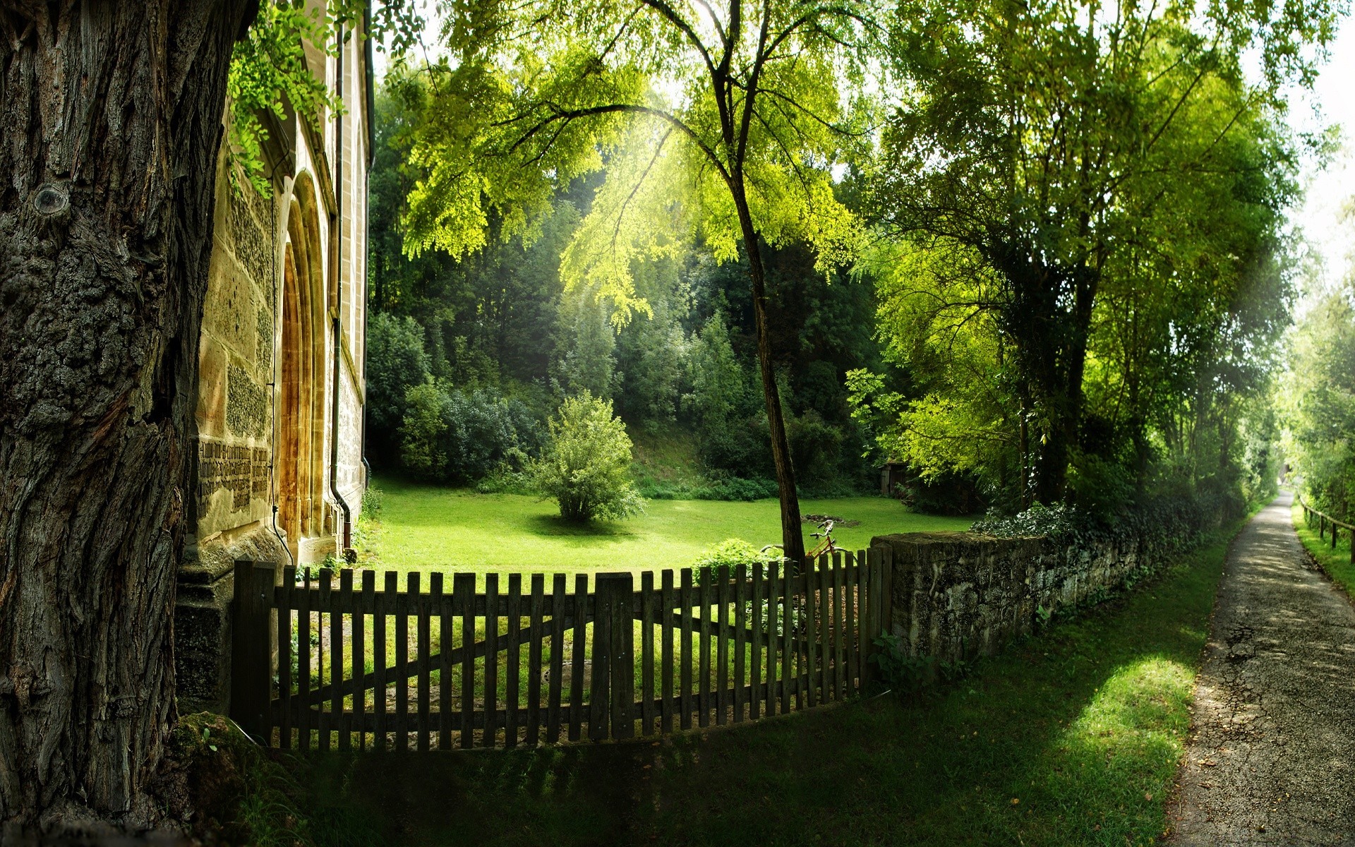 summer tree wood park guidance landscape grass outdoors garden nature leaf footpath lush flora