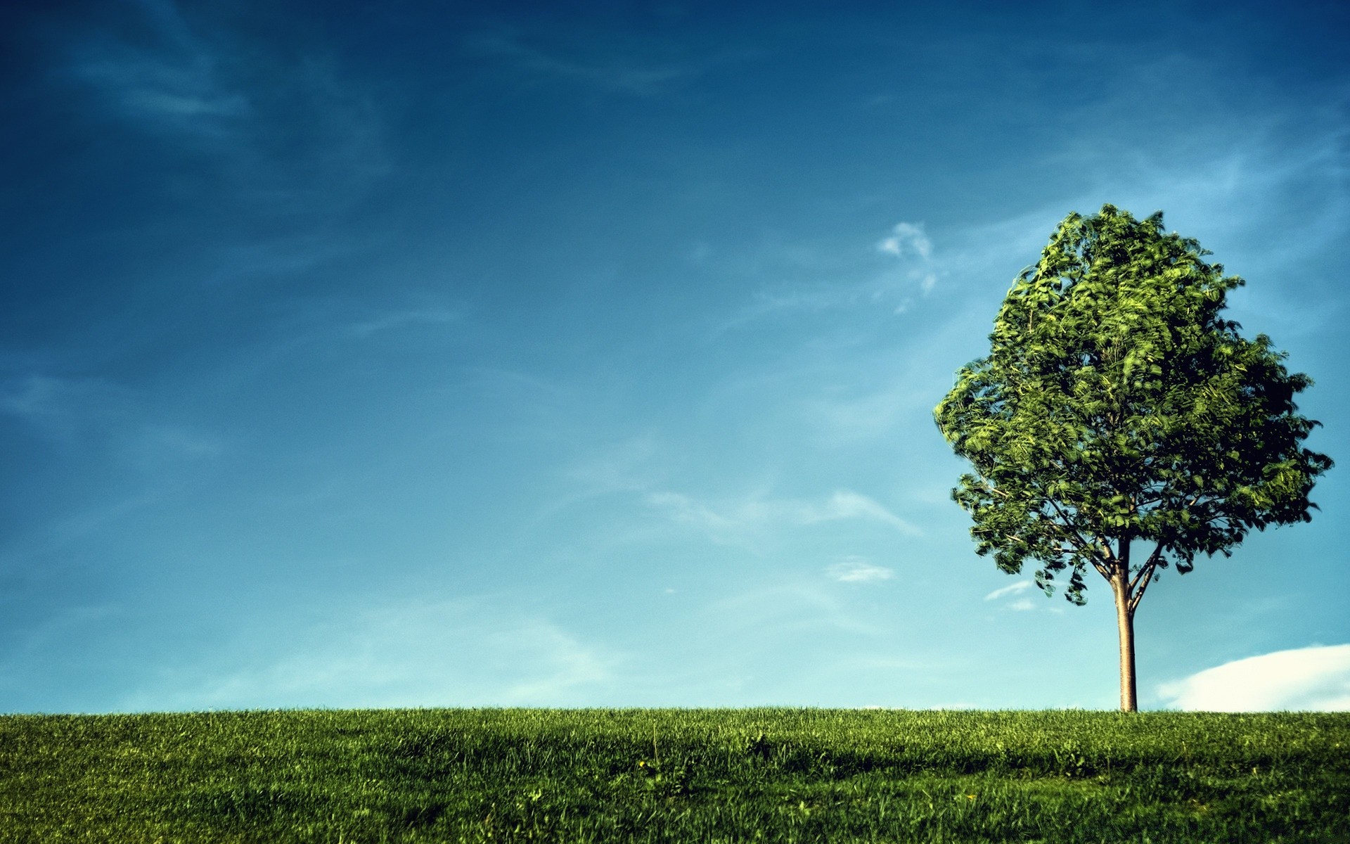 summer nature landscape tree sky outdoors countryside grass rural sun fair weather field wood leaf idyllic horizon light