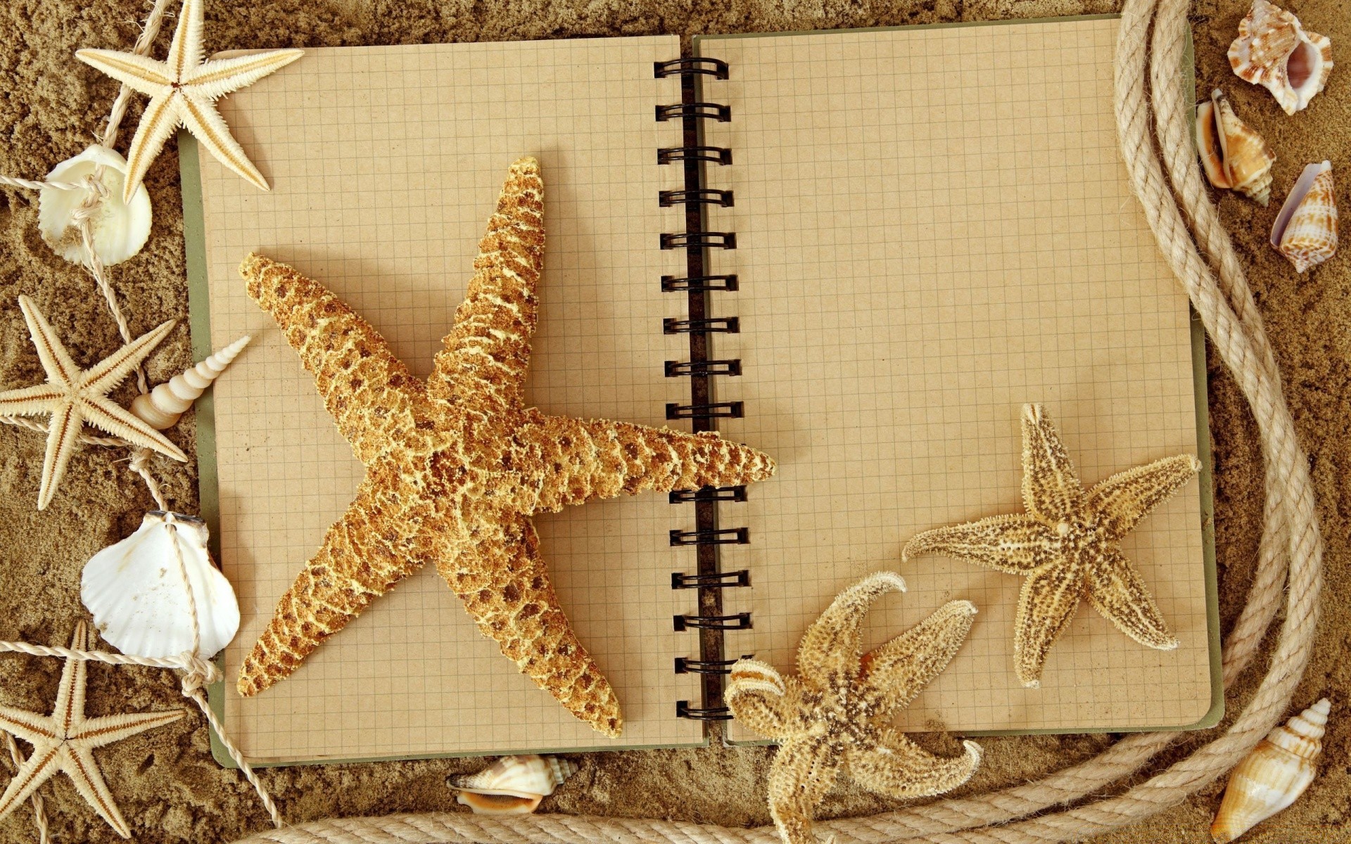 summer starfish christmas decoration desktop traditional