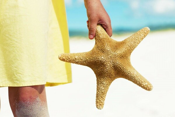 A girl with a starfish on the beach