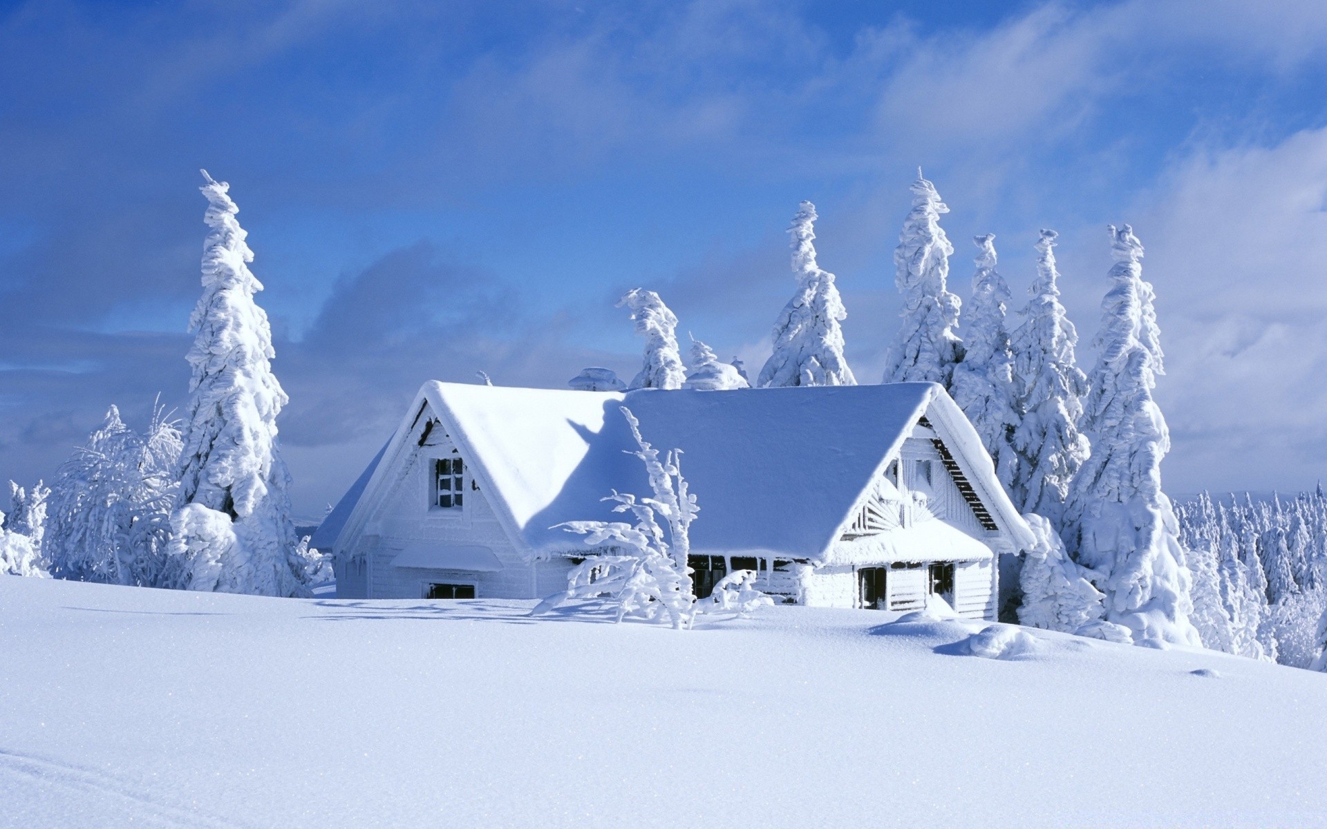 winter snow cold ice frozen mountain frost frosty hut landscape scenic bungalow weather wood resort chalet snowy house snowdrift