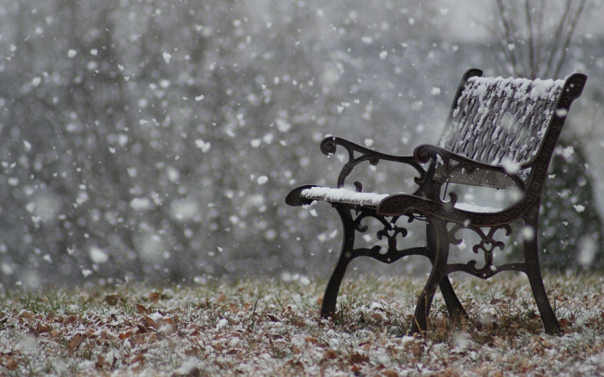 winter snow seat cold bench wood nature outdoors season park chair weather frost desktop