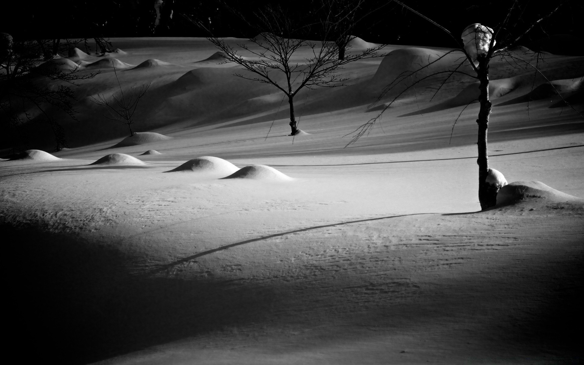 winter monochrome shadow landscape black and white light street beach sunset dawn snow