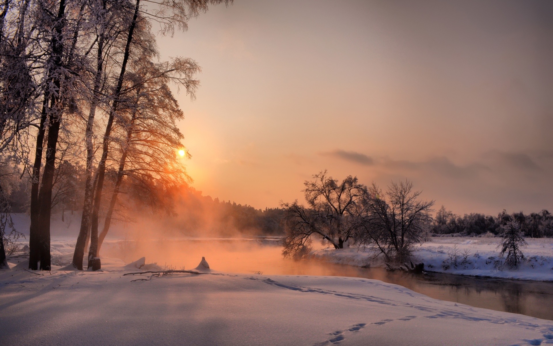 winter snow dawn tree fog sunset landscape cold mist nature ice weather frost frozen evening wood fair weather sun outdoors