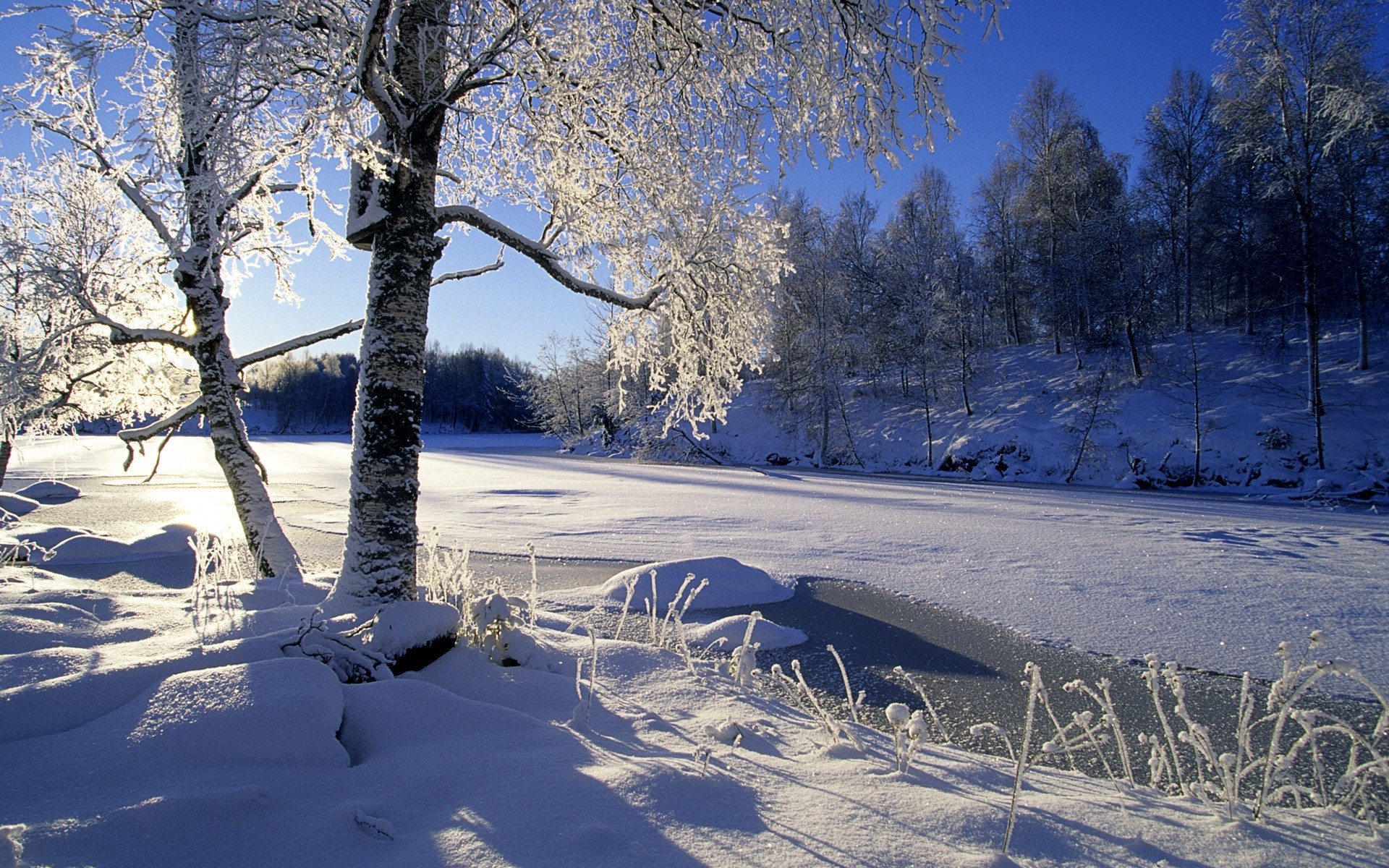 winter snow frost cold tree frozen wood season landscape ice weather scenic branch snow-white nature fair weather scene park