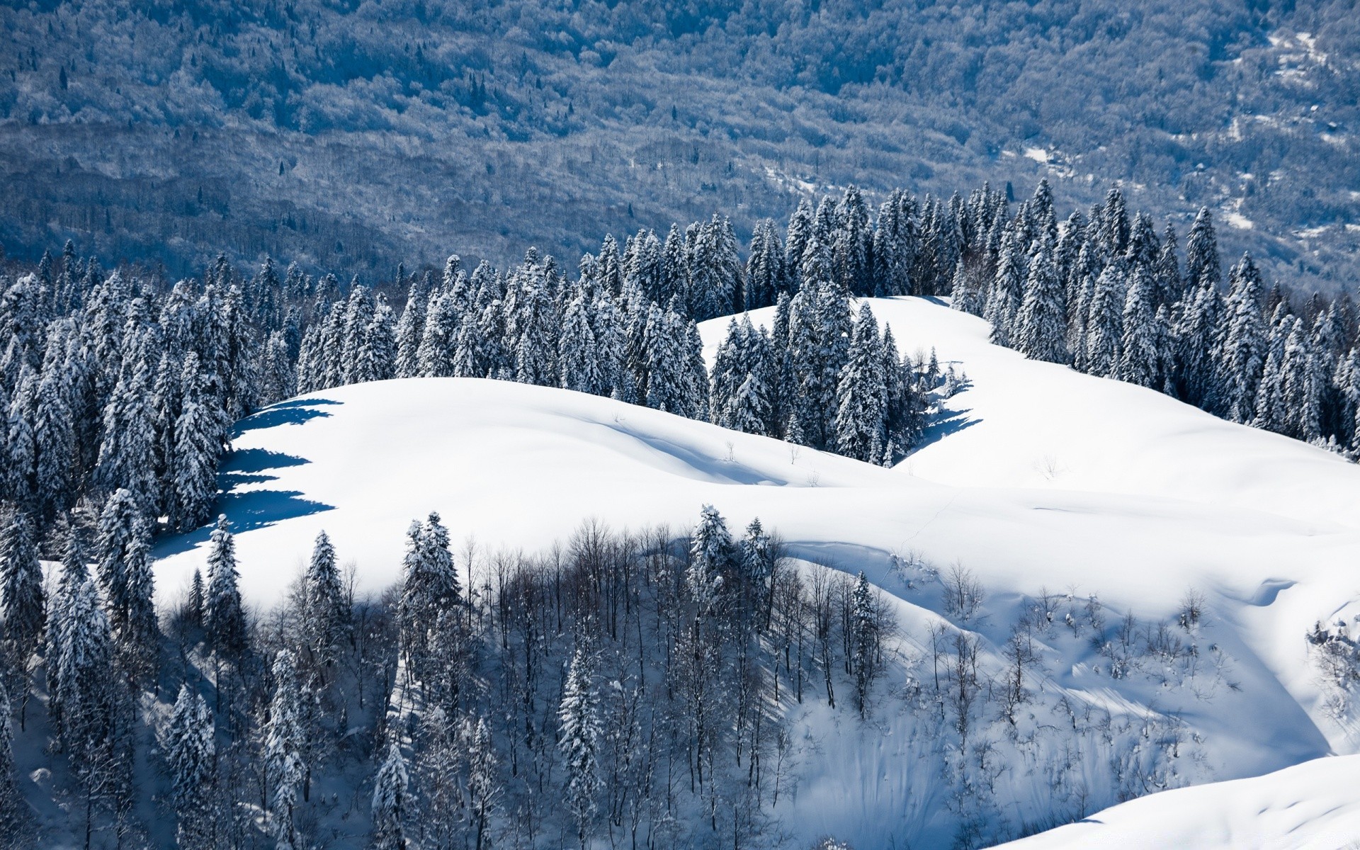 winter snow mountain cold scenic ice wood landscape snowy frost frozen hill resort mountain peak season weather alpine tree