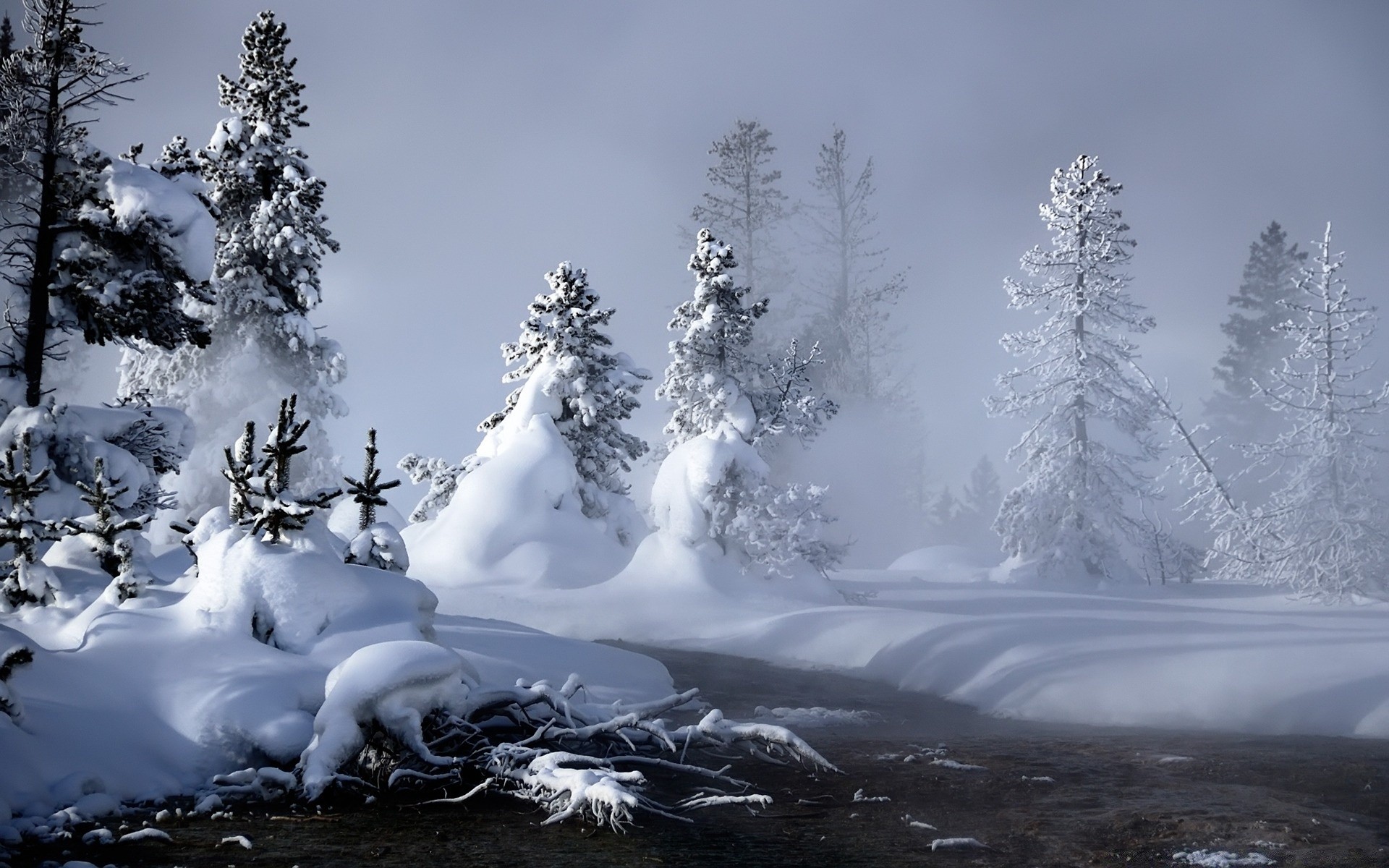 winter snow cold ice frost frozen landscape wood mountain scenic nature tree weather frosty outdoors season