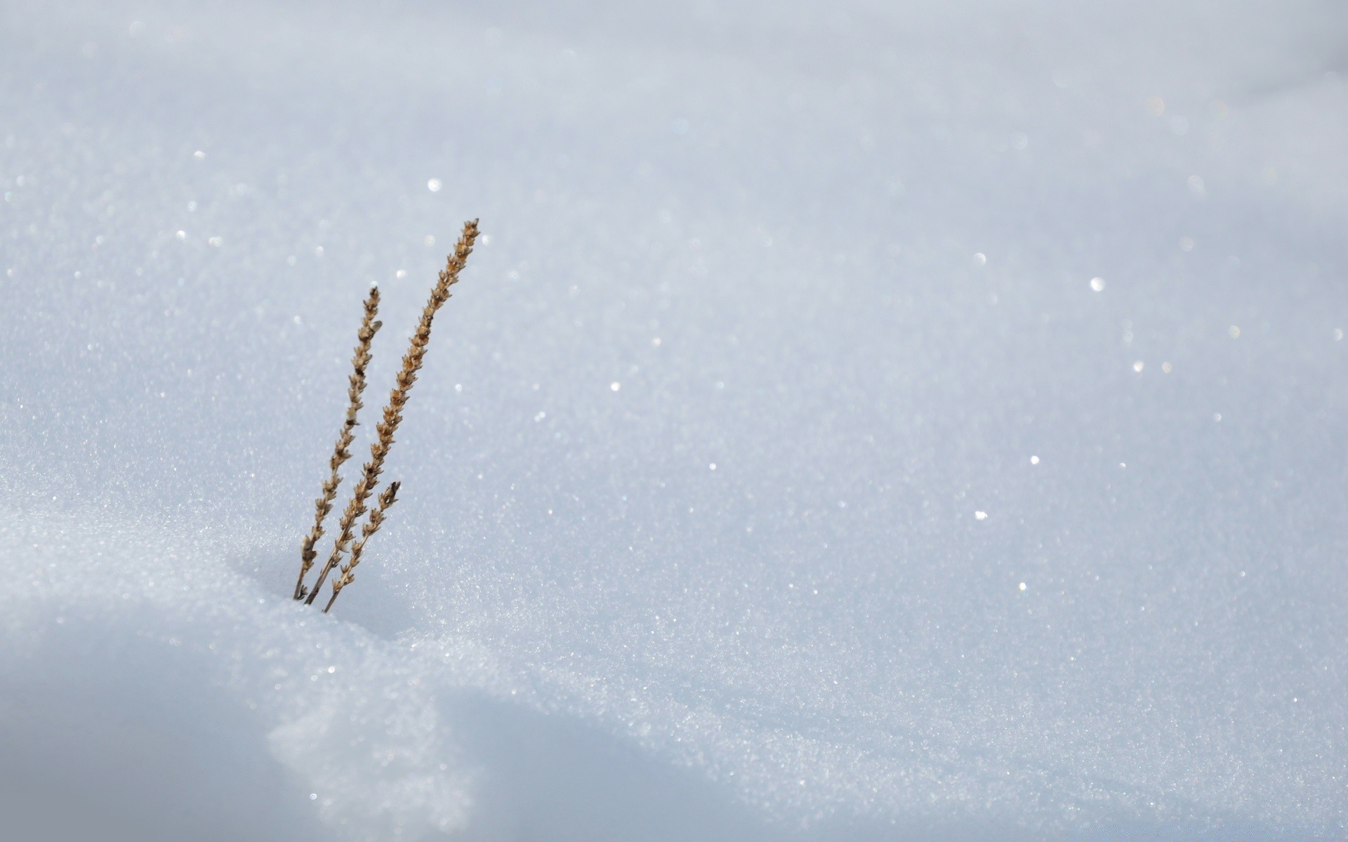 winter snow sky airplane landscape aircraft daylight weather cold ice nature outdoors desktop jet space air flight light frost