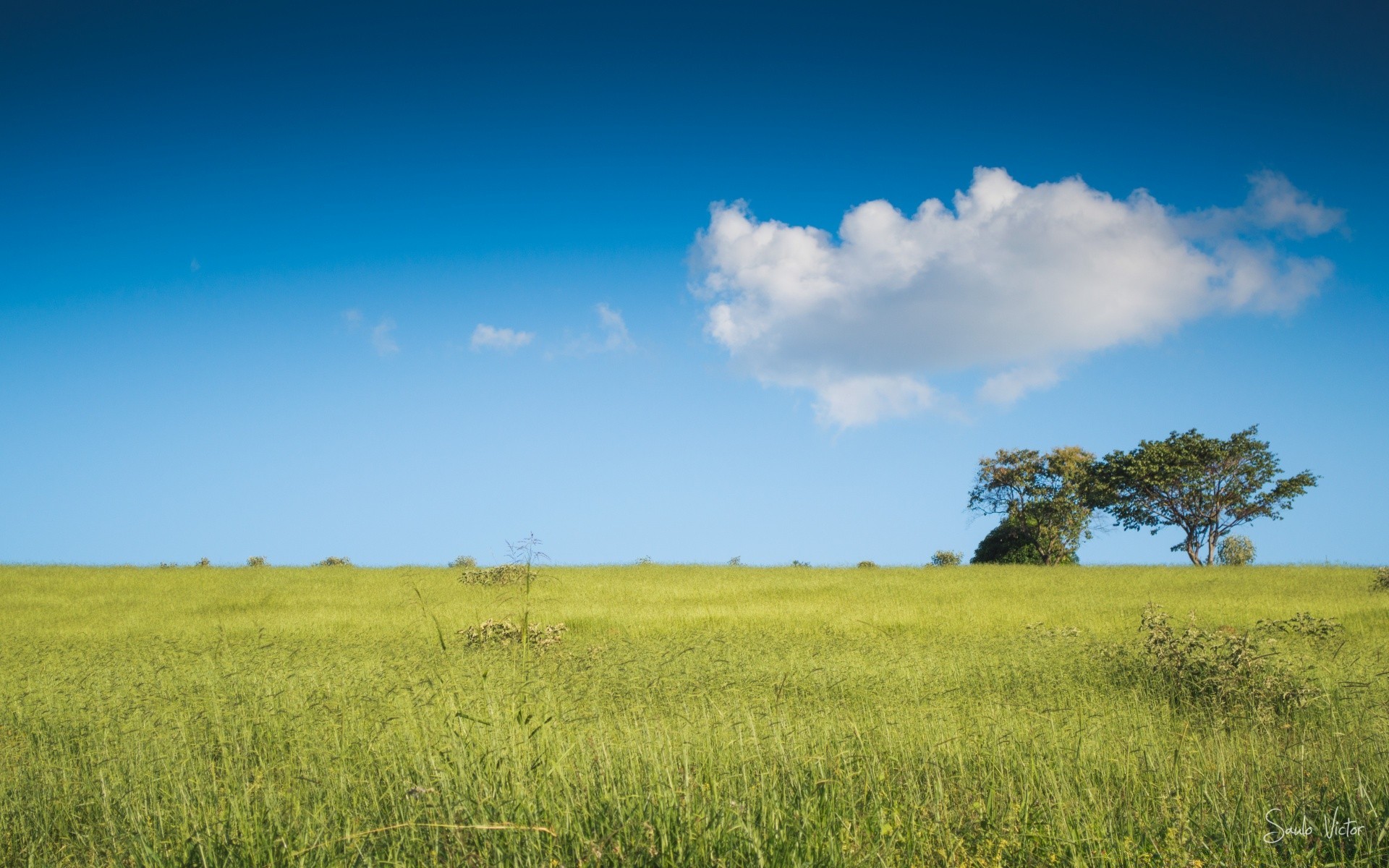 landscapes field landscape rural hayfield agriculture sky grass pasture farm horizon nature countryside growth summer grassland sun fair weather outdoors crop
