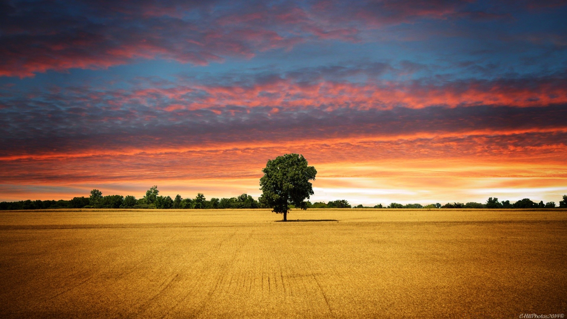 landscapes sunset dawn sun dusk evening nature sky landscape summer fair weather water