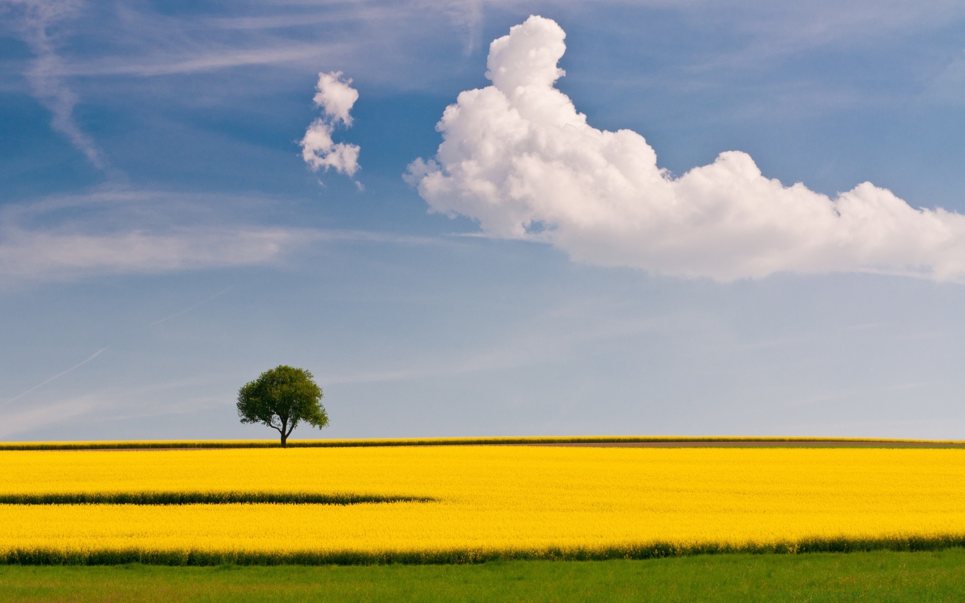 landscapes agriculture landscape nature field farm sky rural outdoors crop countryside tree summer horizon pasture cloud cropland grass fair weather daylight