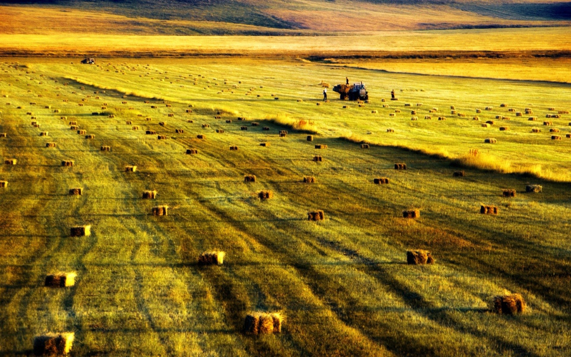 landscapes outdoors agriculture landscape nature travel cropland farm