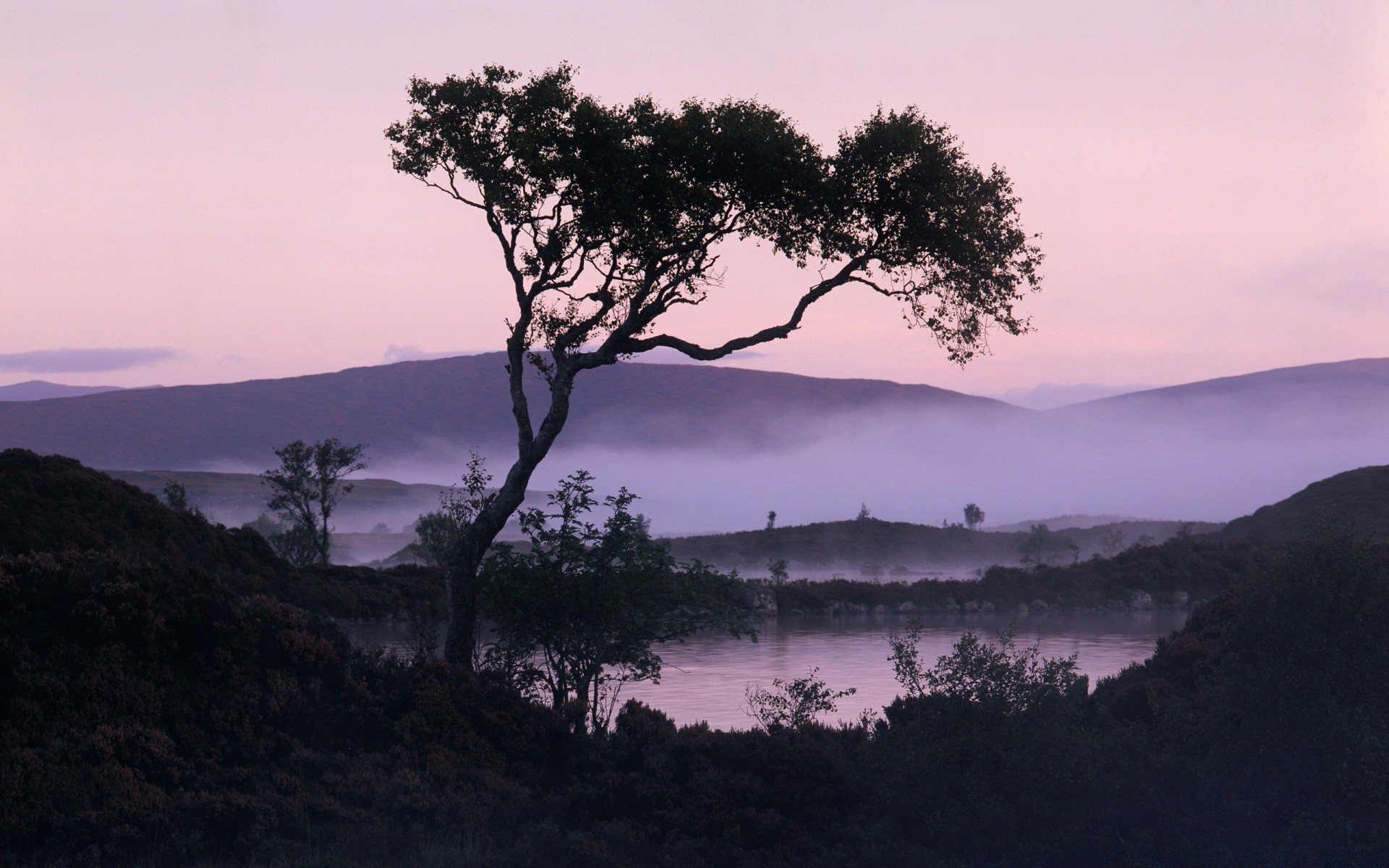 lake landscape tree dawn mountain fog water sky sunset nature evening travel silhouette scenic backlit outdoors wood mist
