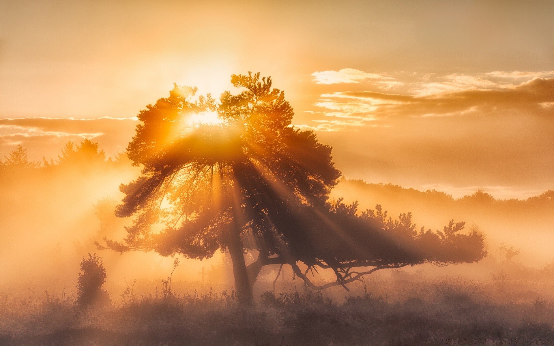 landscapes sunset dawn sun sky evening nature landscape backlit tree weather fair weather dusk outdoors silhouette light storm