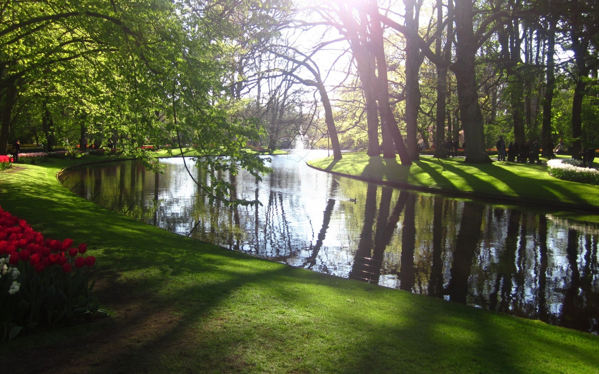 landscapes landscape tree wood park nature grass water scenic guidance environment leaf outdoors garden river lake summer pool reflection dawn