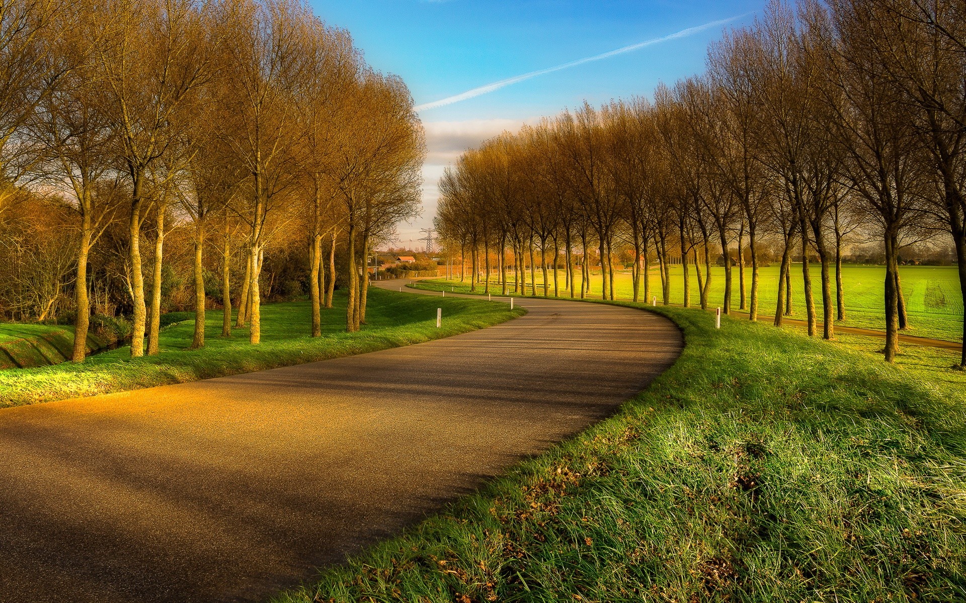 landscapes landscape tree grass road fall dawn nature guidance countryside rural country field outdoors