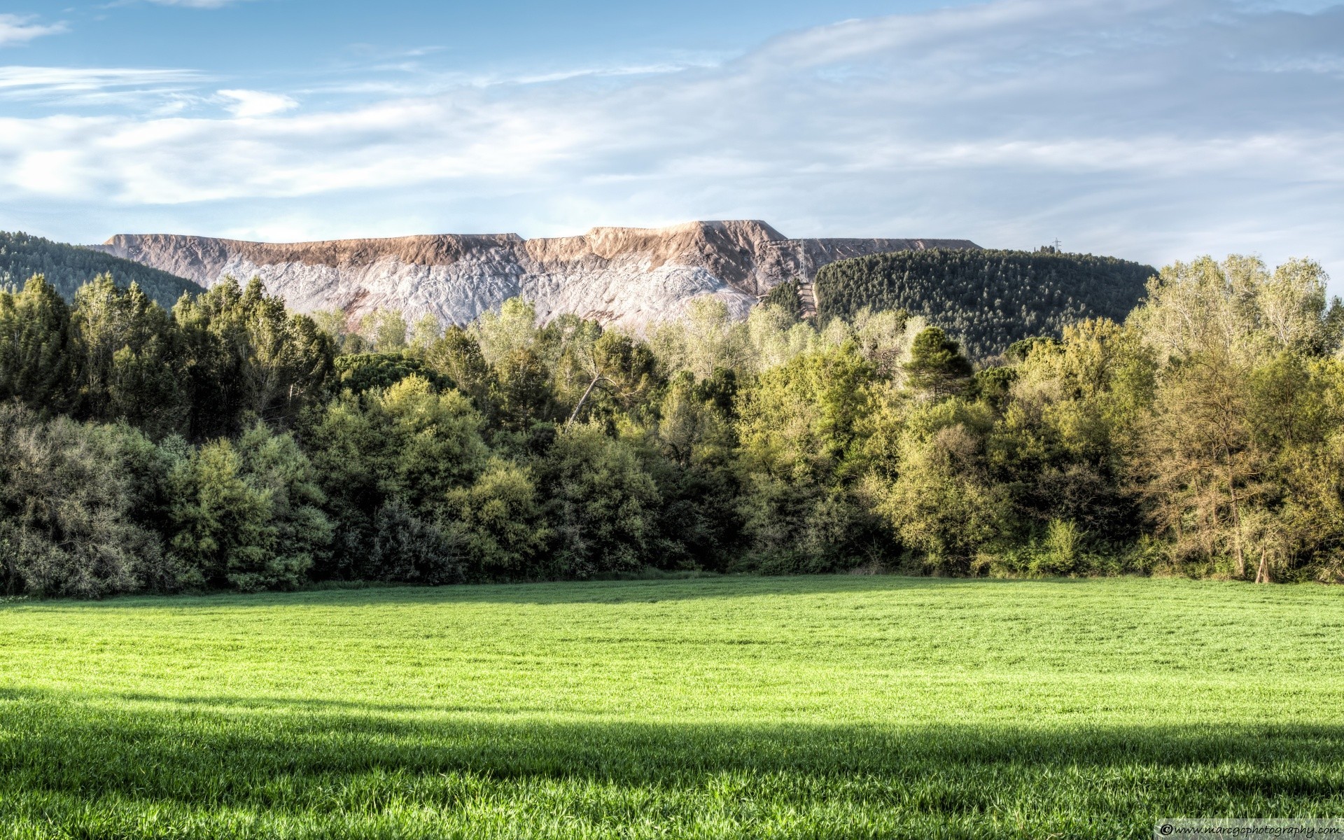 landscapes landscape tree nature sky grass field hayfield wood scenic sight hill summer outdoors rural countryside scenery mountain agriculture country