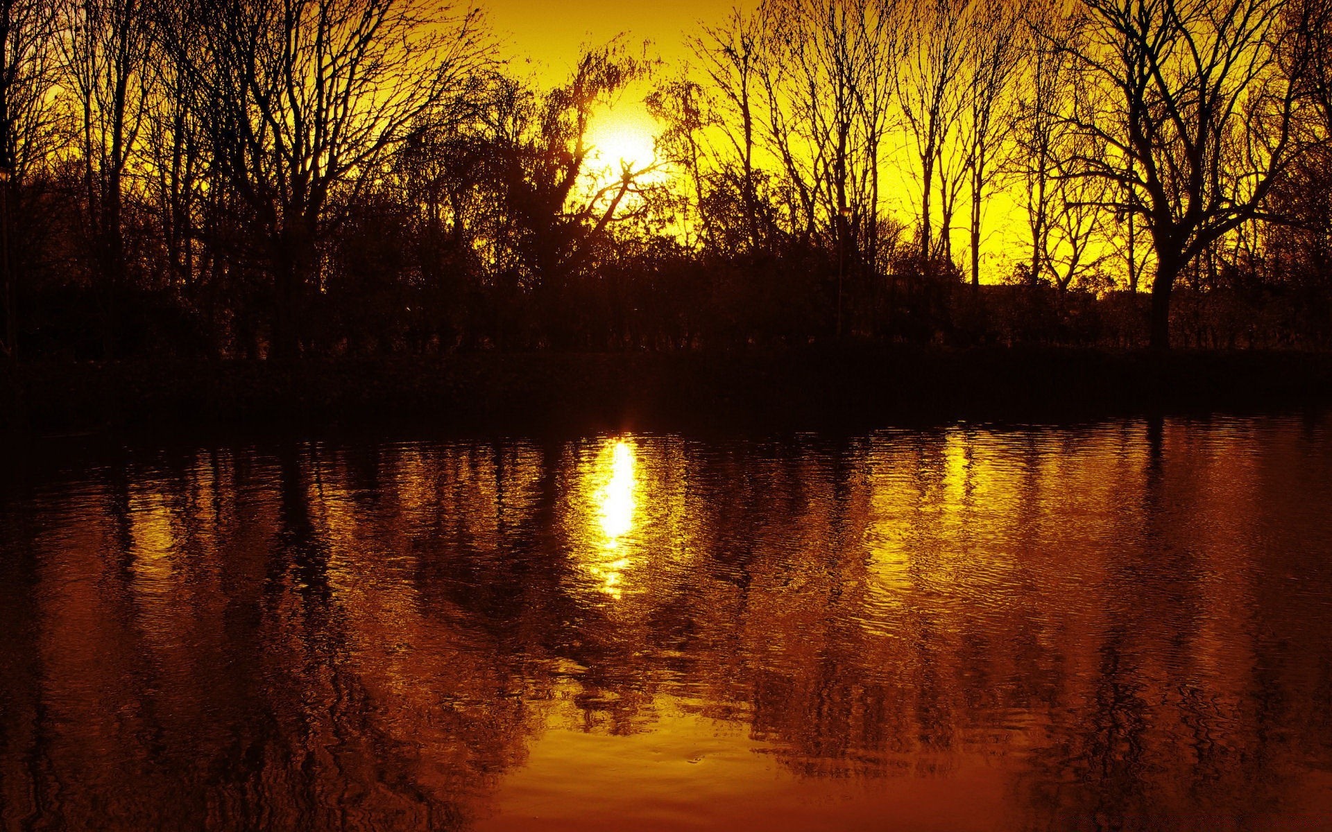 lake reflection water sunset dawn river evening tree landscape nature light dusk outdoors sun fair weather park sky wood fall