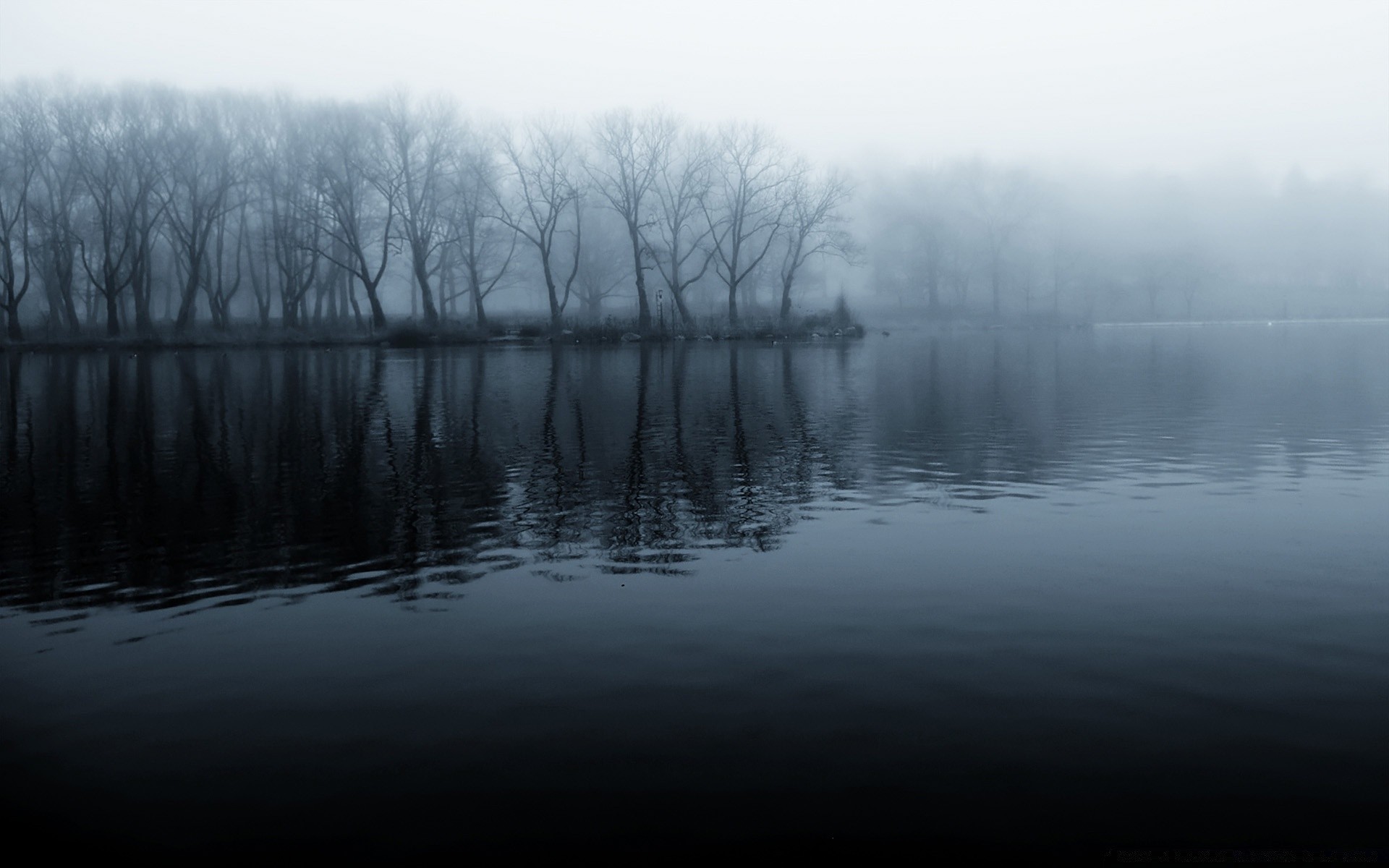lake water reflection landscape dawn river sunset nature fog tree winter sky evening mist light