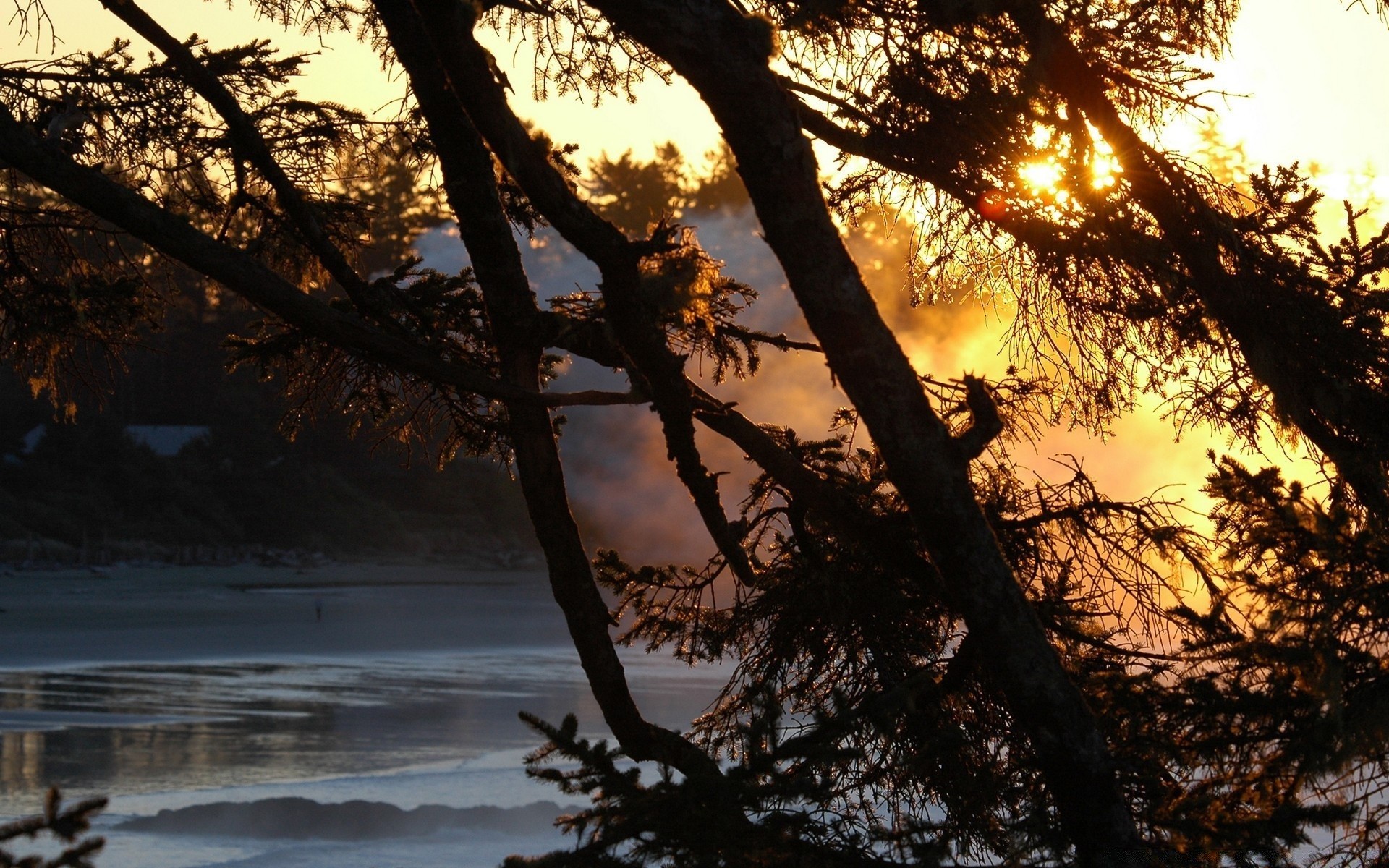 lake tree landscape dawn nature wood outdoors sunset sun fair weather water branch evening fall environment backlit weather light winter park