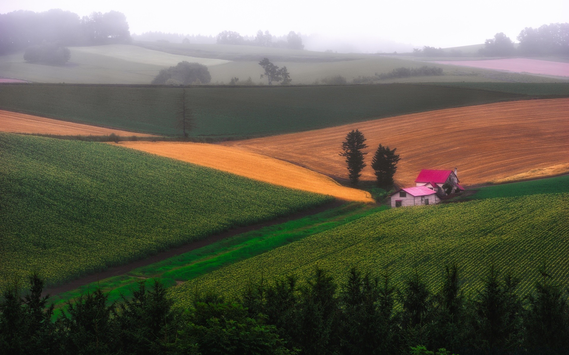 landscapes cropland agriculture landscape outdoors countryside farm field pastoral tree daylight sky nature hill grass