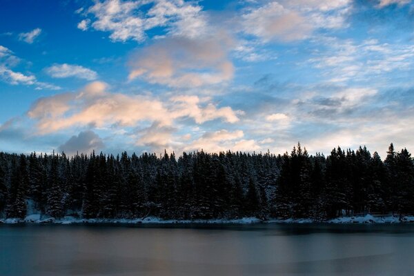 Dawn in the snow-covered forest by the lake