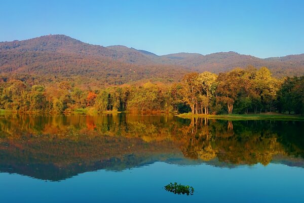 Autumn landscape. Clean water in ozern