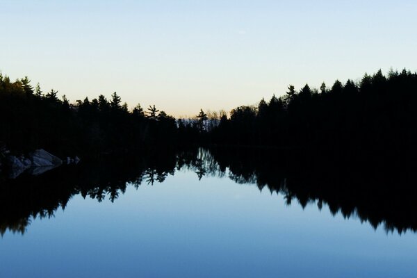 Sunrise on the lake, reflection of trees in the water