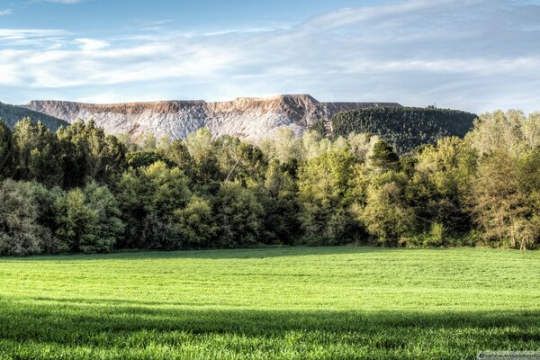 Low mountains hid behind a shallow forest