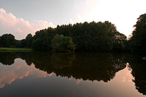 Beautiful trees and a lake at sunset