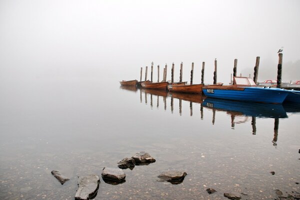 Boats on the dock in the fog