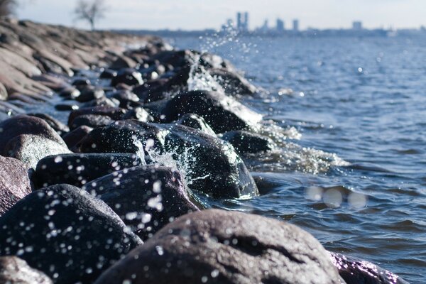 Coastal rocks on the lake