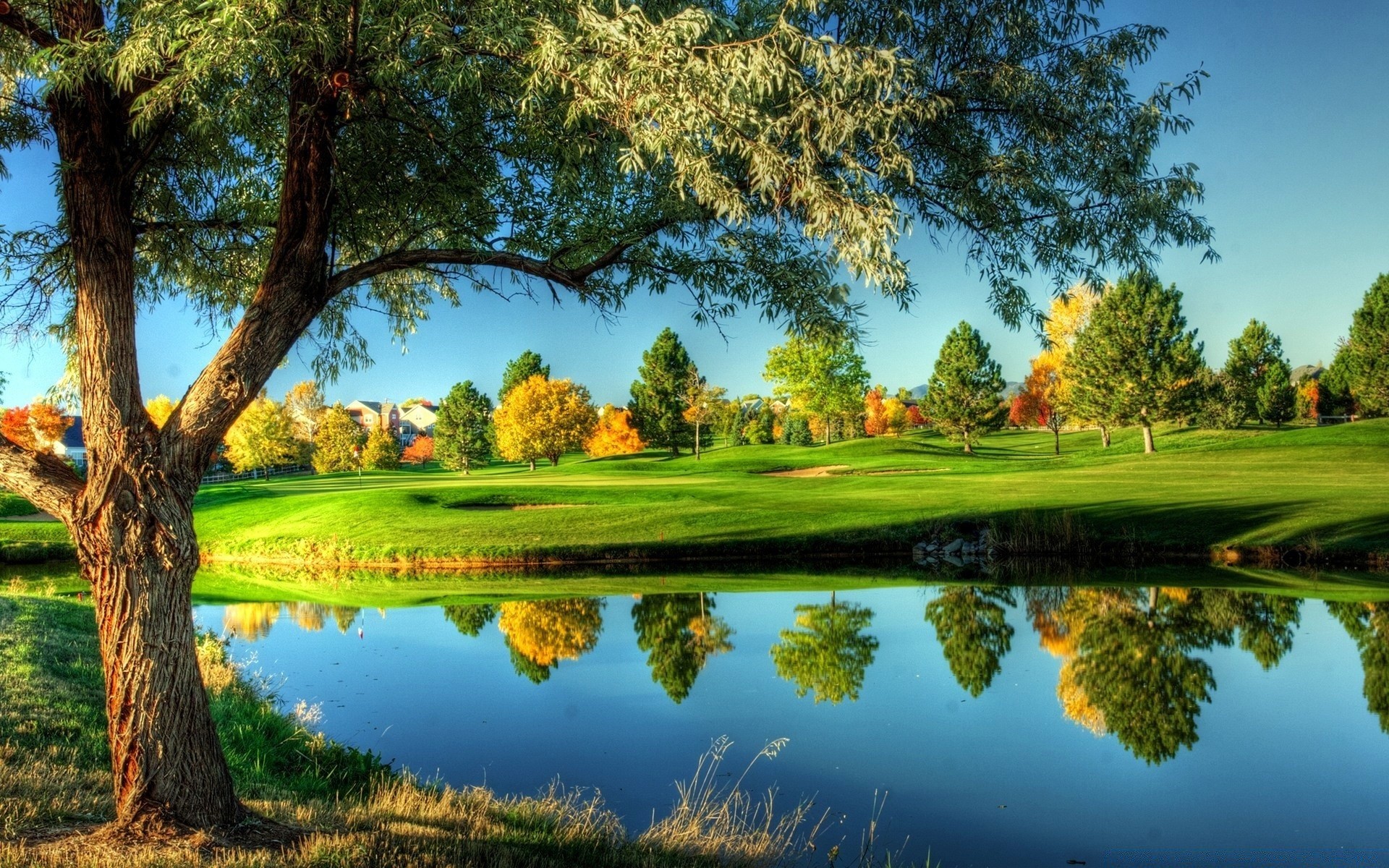 golf tree grass landscape nature lake sky scenic outdoors summer reflection pool park wood water hayfield sight rural cloud river