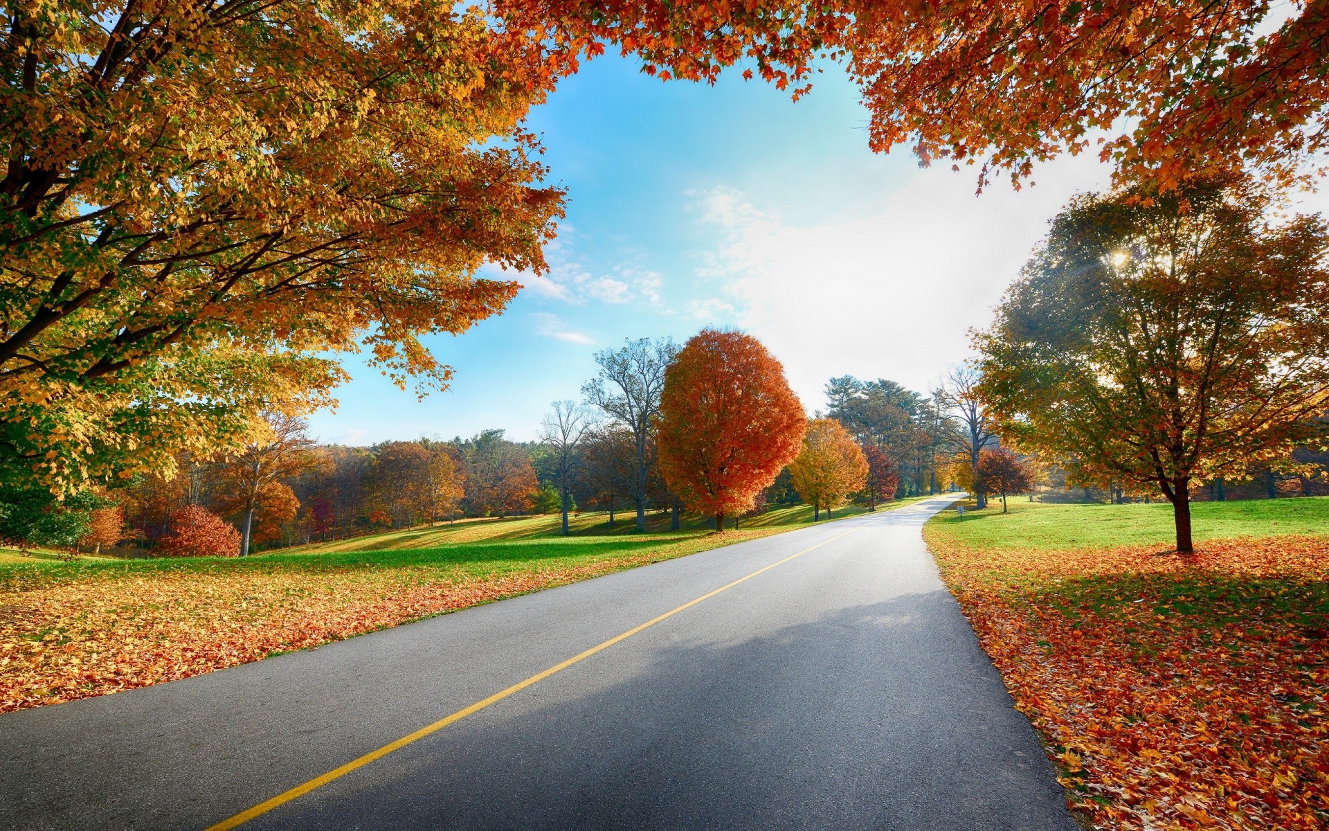 landscapes fall road leaf tree guidance rural outdoors landscape nature countryside season park